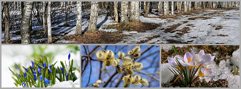 Решения общего собрания от 31.05.2025 г.